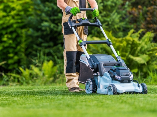 Rasenpflege